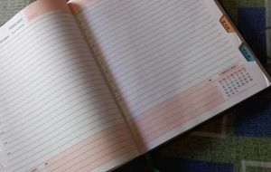 Combo Diary Offer