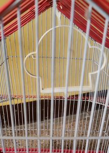 Premium Bird Cage