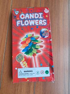 55)Toy Airplane with Pilot &amp; Candy Flower