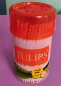 Tulips Toothpicks - 240 Sticks