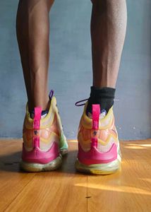 Nike Jordan LeBron 19