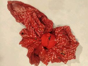 Jodhpuri Bandhej Saree Brand New (only Dry Clean _ Charak) Pure Ki Saree