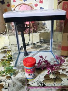 🐠 🐟 🐠 🐟 Fish Aquarium 🐠🐟🐠🐟