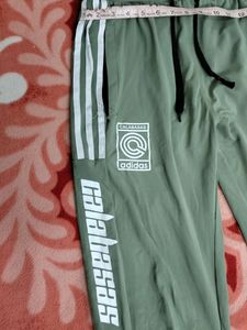 Olive Green Colour Mens Lower