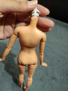 Doll Body