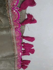 Elegant Ethnic Dupatta