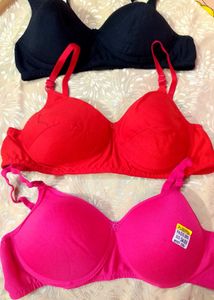 Women Pack Of 3 padded Bra