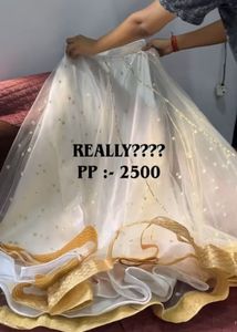 Elegant ethnic lehenga