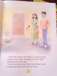 Children English Storybooks