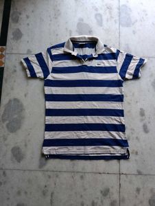 Lacost Tshirt For Men