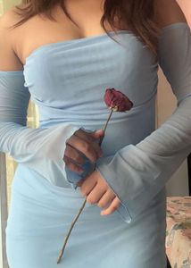 Blue Bodycon long mesh Dress