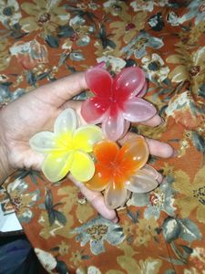 Trending Flower Claw Clips