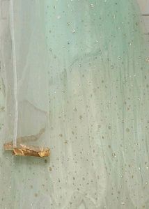 Pastel Green Lahenga Choli Sleevs Attached