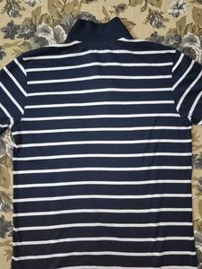 Striped Polo Shirt