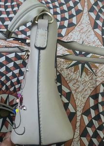 ZARA Embroidered HandBag