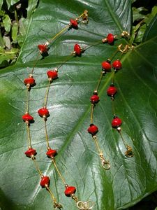 Manjadi seed Anklets