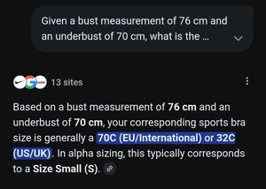 🤍🩶JoyLab Metallic Shimmer Sports Bra