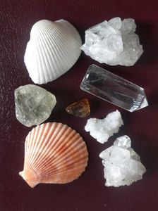 Healing Crystals & Seashells Collection