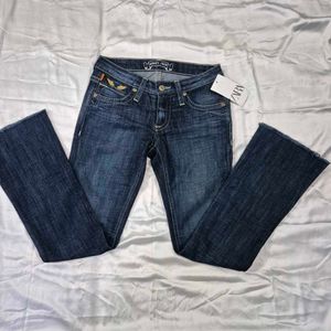 Y2K  Low Waist Jeans / Denim