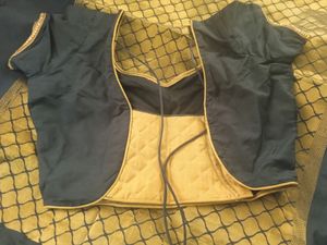 Back &amp;golden Pattusaree With Pri Cut Blouse
