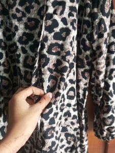 Tiger Print Dress