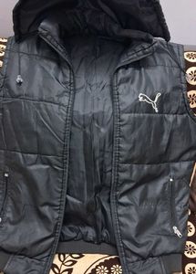 Padded Jacket with Hood