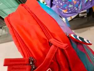 Skybags Backpack