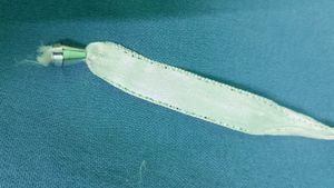 Cute Blue Denim Capri Jeans