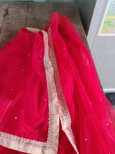 Red Net Dupatta