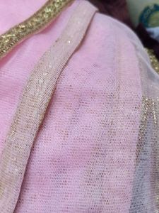 Pink Net Dupattaa
