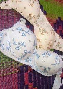 Bras - Two Neutral Colors