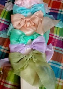 Colorful Hair Bows clip🎀