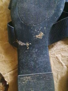 Flats And Sandals