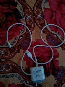 Mobile Charger Working Condition