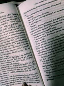 The Silent Patient Book