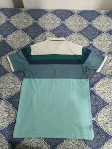 L Size Cotton Tshirt.