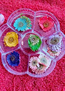 Dried Flowers For Resin