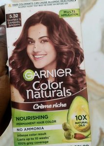 GARNIER HAIR COLOUR BROWN