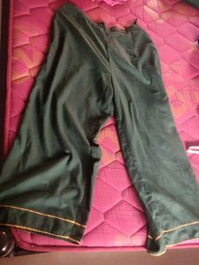 Vintage Style Green Kurta Set