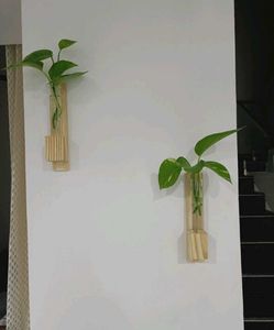 Ceramic Vase (Any 1)
