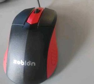 Mouse