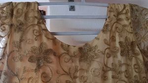 Elegant Ethnic Gown