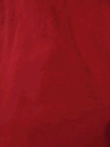 Zara Stretchable Red Rust T-Shirt