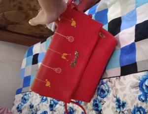 Multi Usage Bag