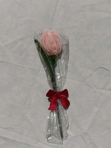 Pink Tulip Flower for just 100 onlyy!!