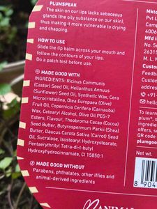 Plum Candy Melts Lip Balm