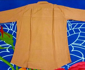 Striped Casual Shirt