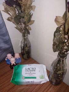 Lacto Calamine Wipes