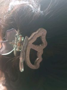 Butterfly Hair Clip