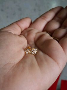 22crt Gold Earrings With Bill